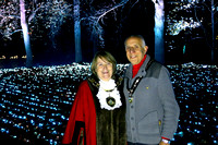 2021 Windsor Great Park Illuminated - MayorCard